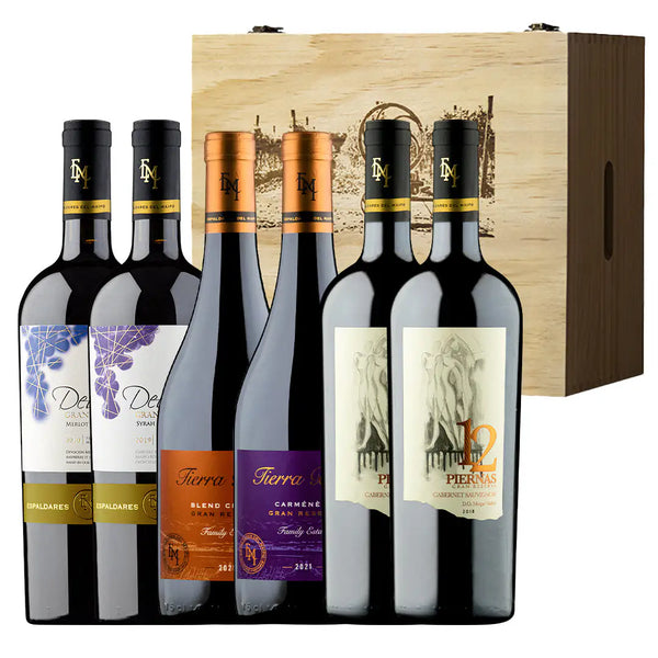 Mix de Vinos x 6 en Caja de Madera