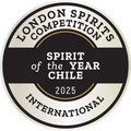 Spirit of the Year Chile